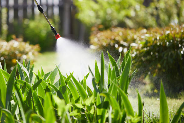 24/7 Emergency Ant Control experts in Fort Totten, ND