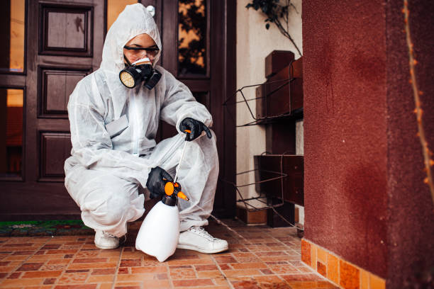 Reliable Ant Control contractor in Fort Totten, ND by Show Me Pest Control
